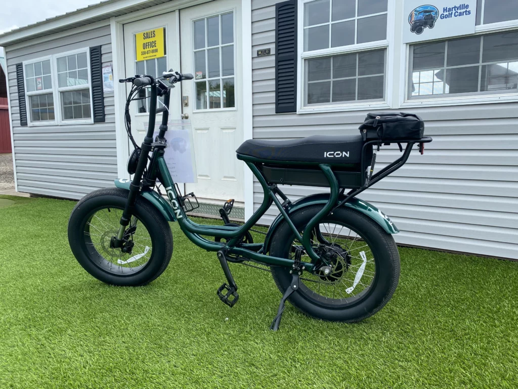 electric bicycle sale Qlife Ebike Combo Triker 2.0 *2 it promises an exhilarating and safe ride Electric Ebikes For Sale -